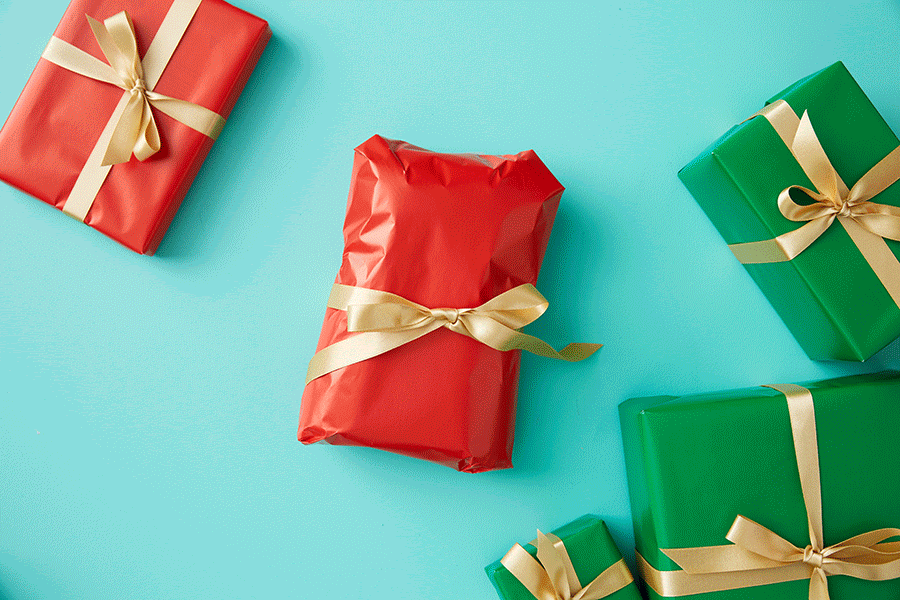 here are Officeworks Christmas gift ideas for everyone – even the pets – such as this fleece blanket.