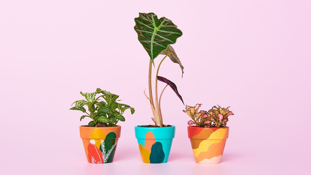 DIY Painted Terracotta Pots and 6 Other Adult Craft Projects Create NOTEWORTHY at Officeworks