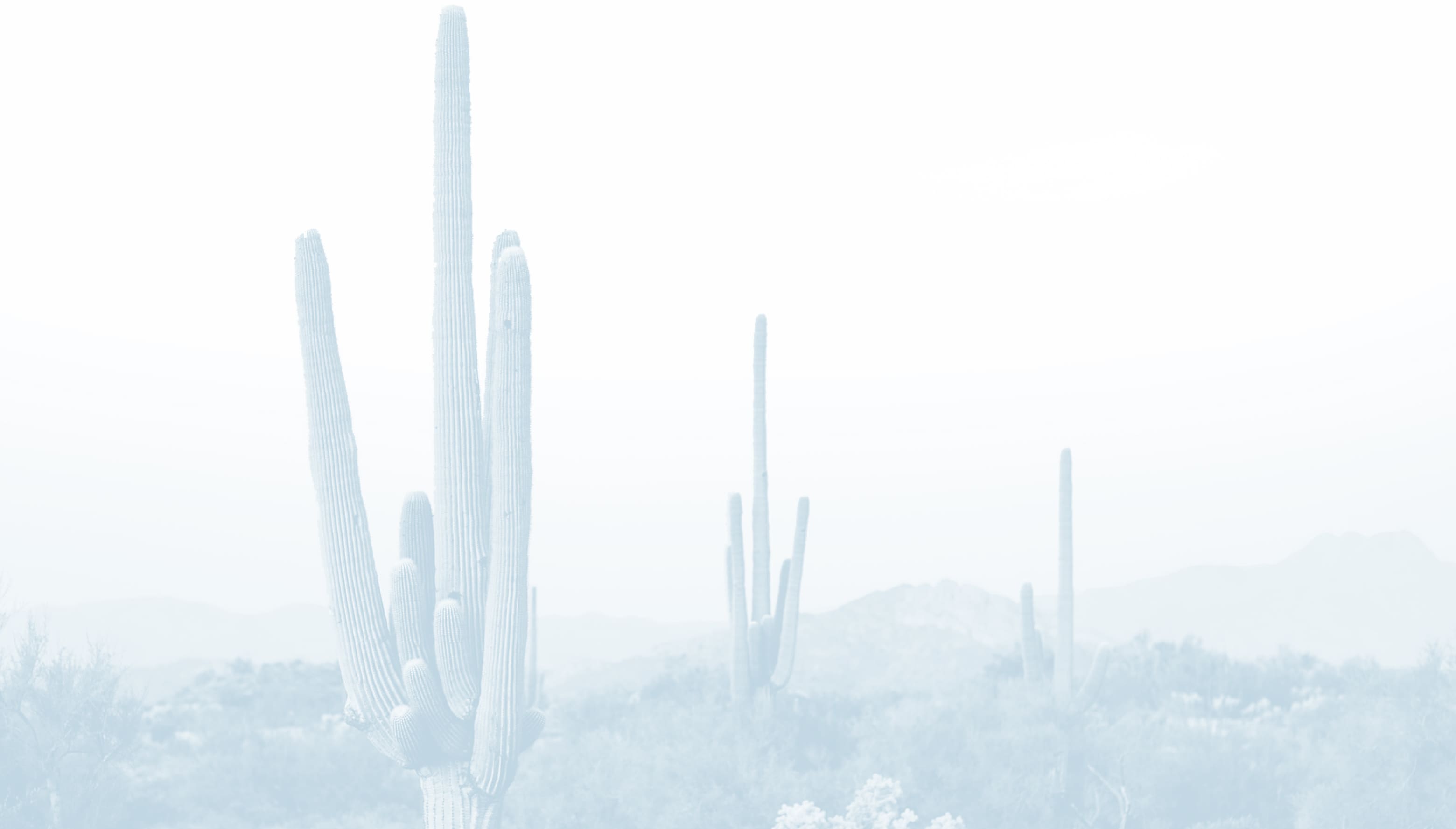 A faded desert photo used as decorative background