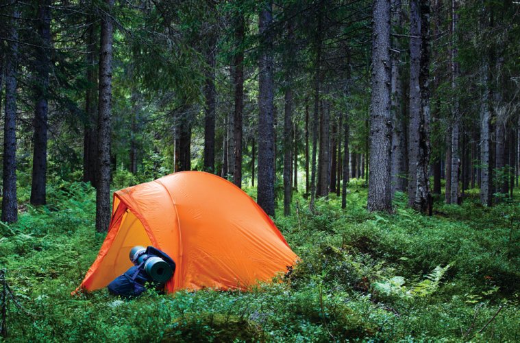 Uma tenda cor de laranja com uma mochila à frente, na floresta