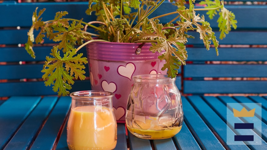 A glass of orange juice in front of a plant and mosquito candle on table