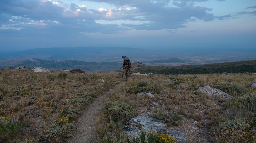 A hiker on a trail