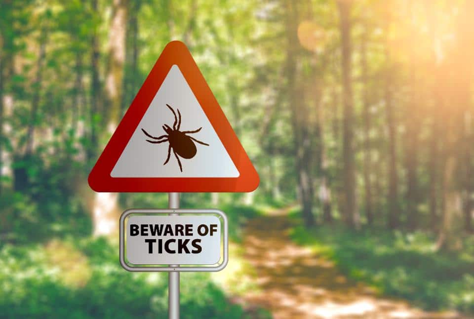 Beware of ticks sign in forest