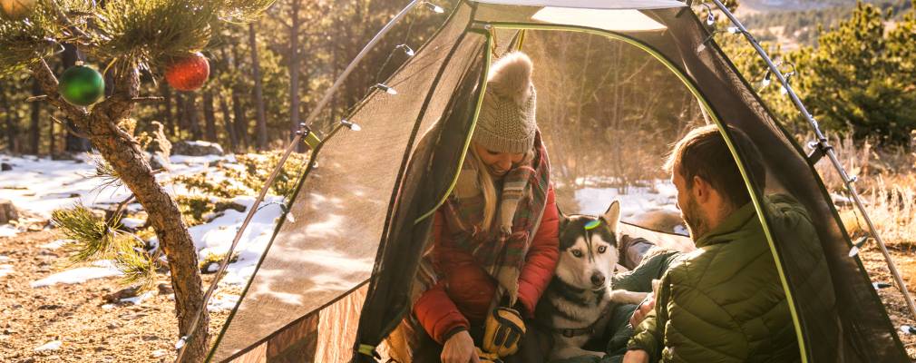 Two people in tent with huskie