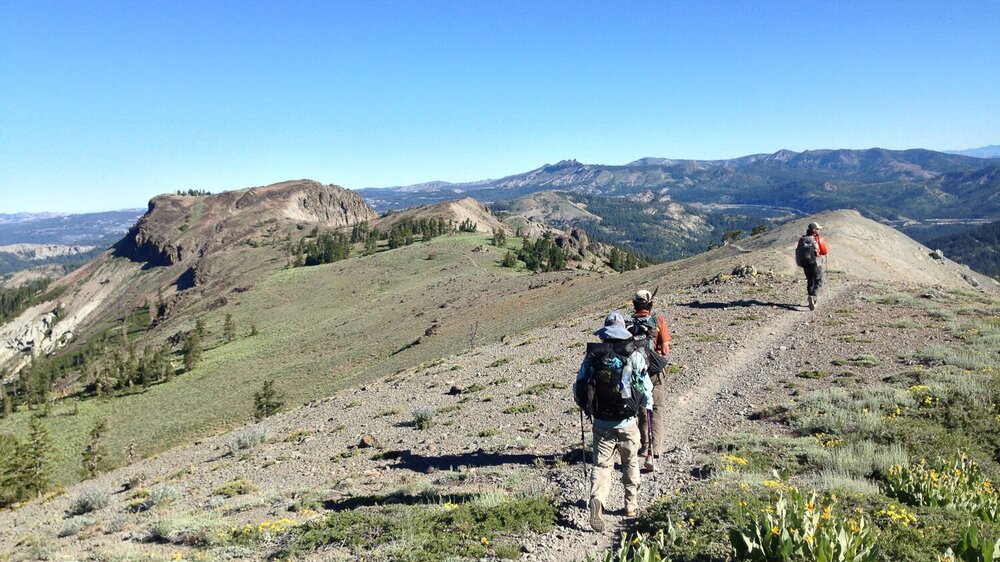 Hikers on the PCT