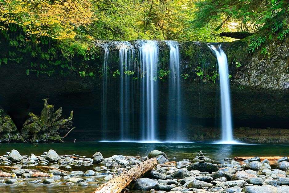 A waterfall in forest