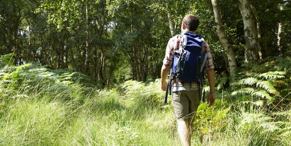 Man hiking grassy field