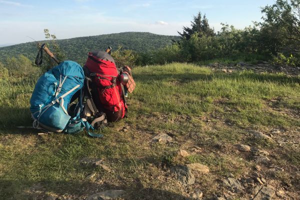 Two backpacks on grassy mountain tundra