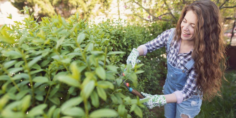 Woman trimming plant outside