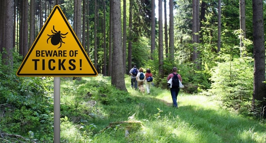 Beware of ticks sign in forest with hikers walking past