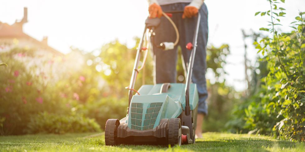 Person mowing the lawn