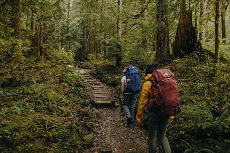 Backpackers hiking through forest