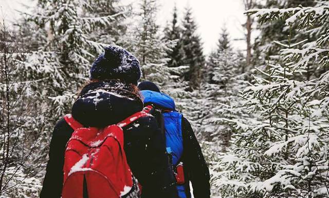 Hikers in winter hiking in snow