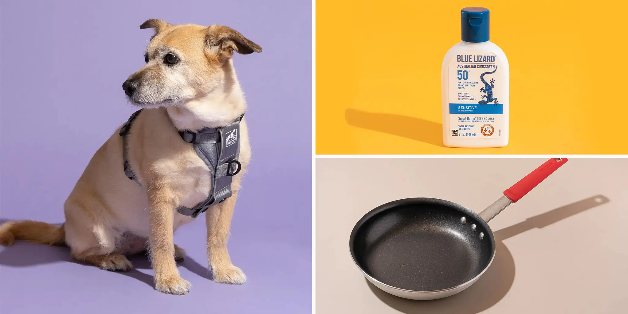 Wirecutter Wirecutter’s Most Popular Picks of May