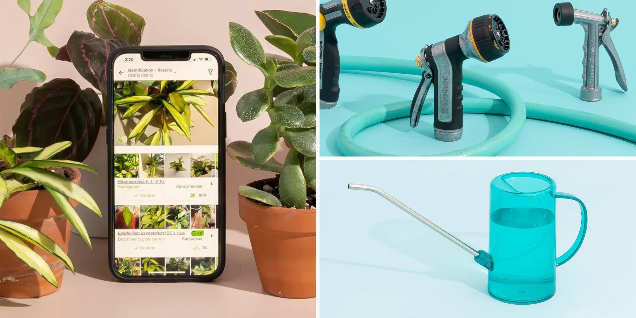 Wirecutter: 40(ish) Wirecutter Picks for Gardeners