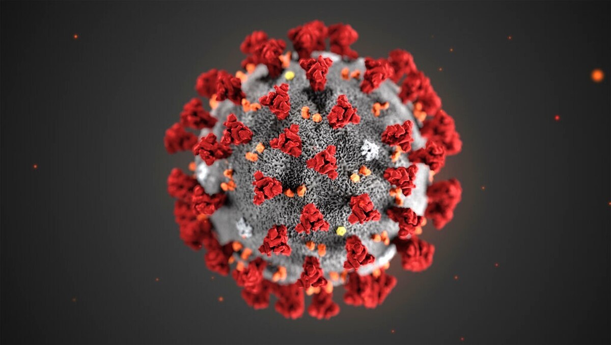 the corona virus covid-19