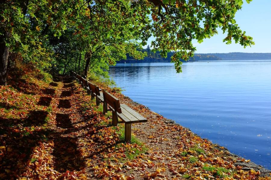 pretty benches on lakefront view fall weather peaceful imagery dealing with stress in nursing