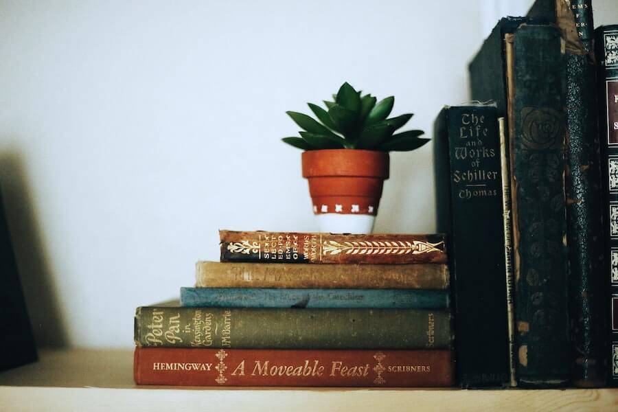 bookend books with plant on top stress in nursing bookend the day