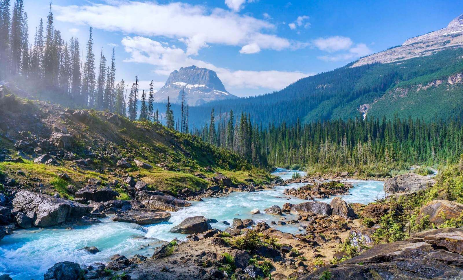 what-is-wilderness-nursing-trusted-health