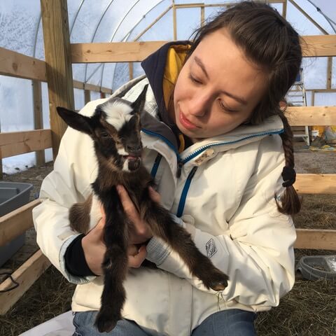 holmes travel nursing first time holding goat