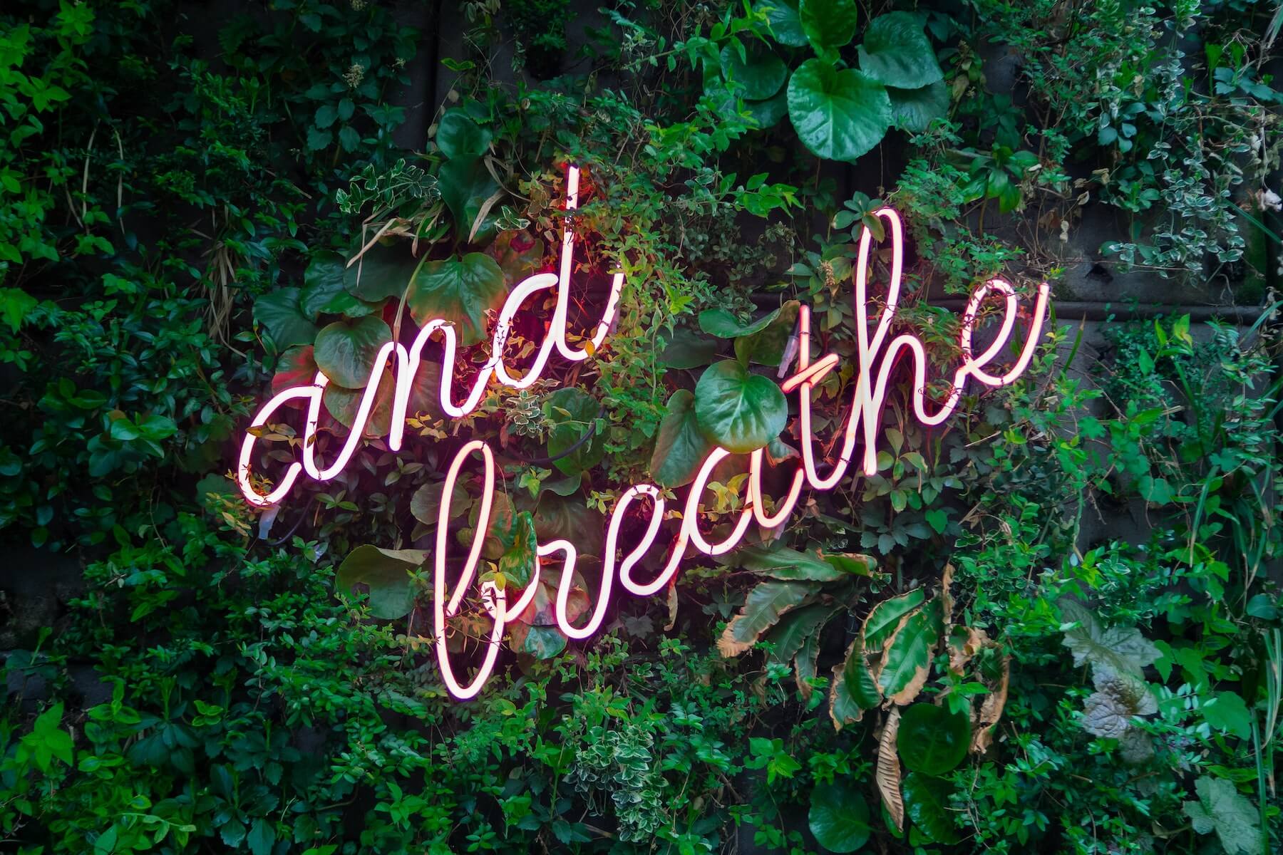 green living wall with neon words and breathe nurse stress unwind after work