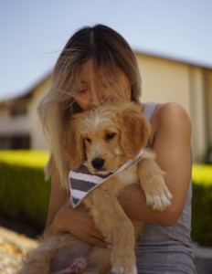 nurse jasmine chen holding dog on lap