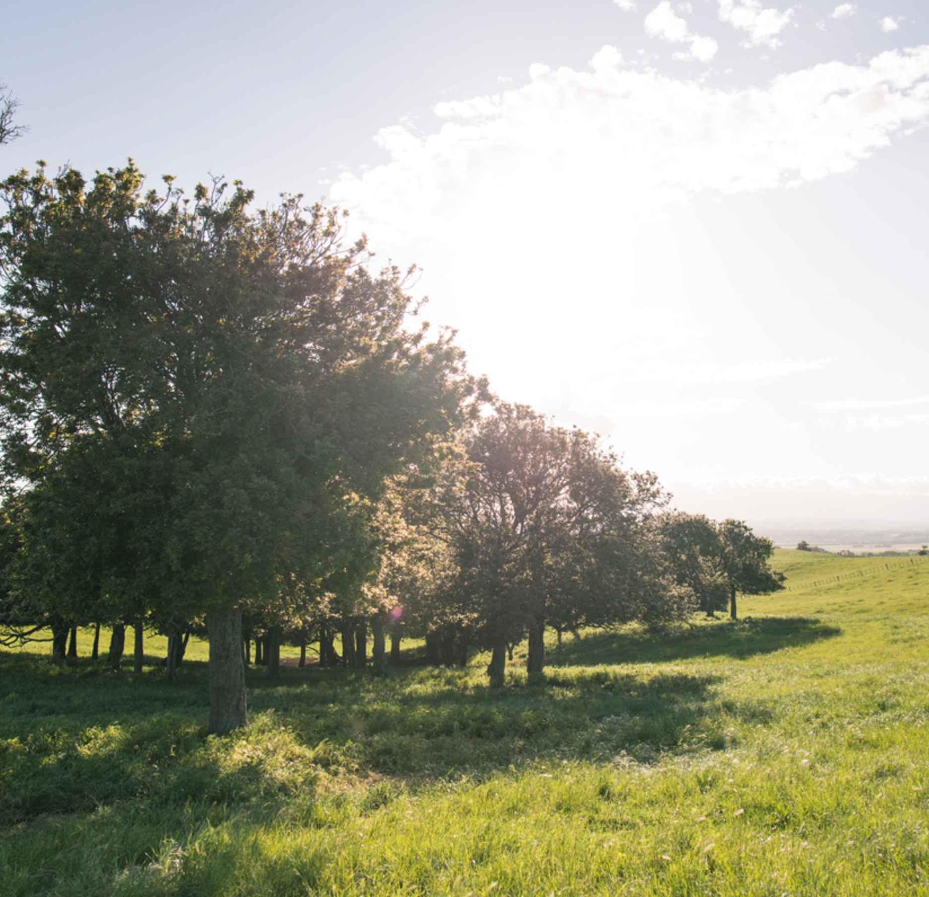 AgFirst Gisborne Office