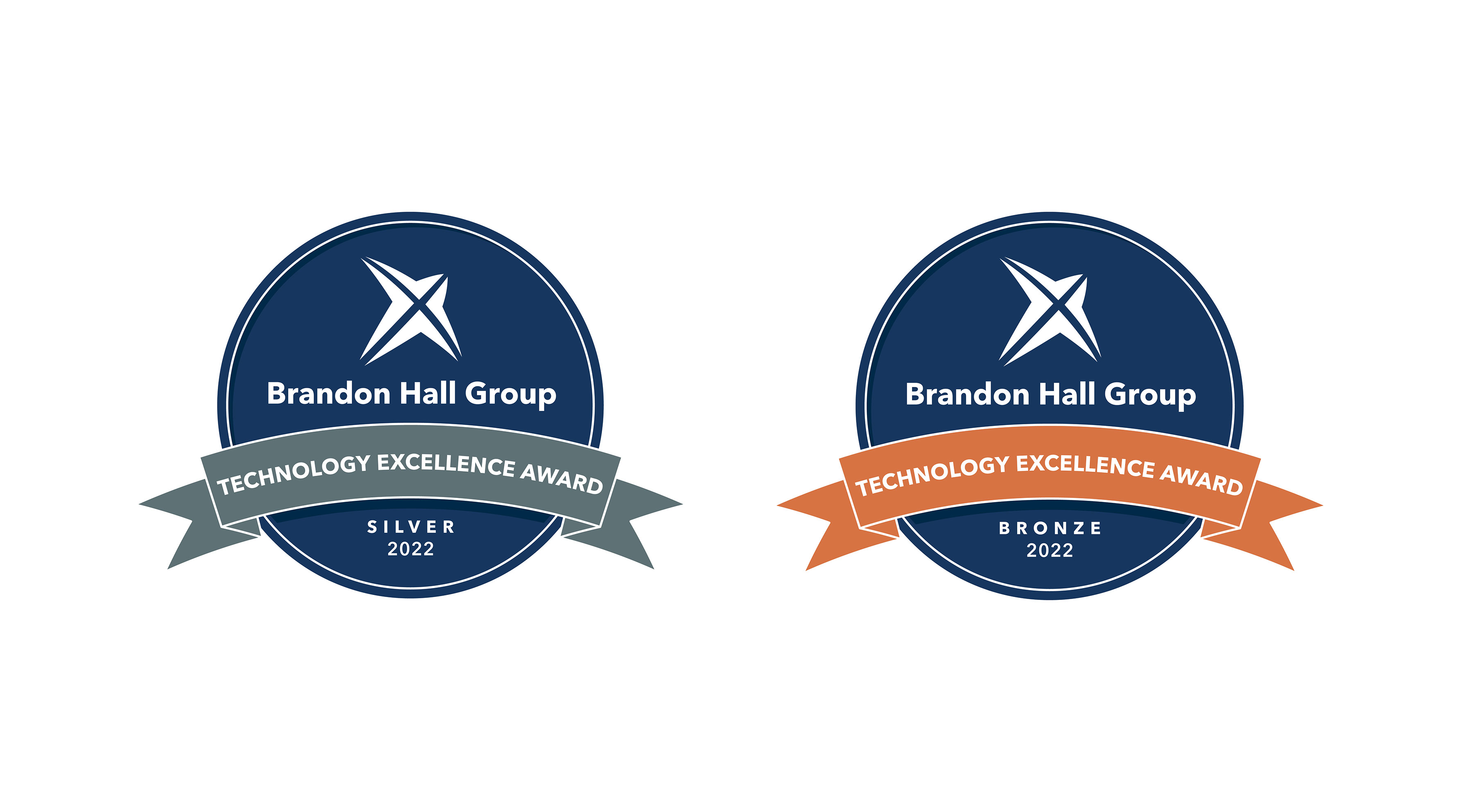 Blue Sky eLearn Wins Silver and Bronze in the 2022 Brandon Hall Group