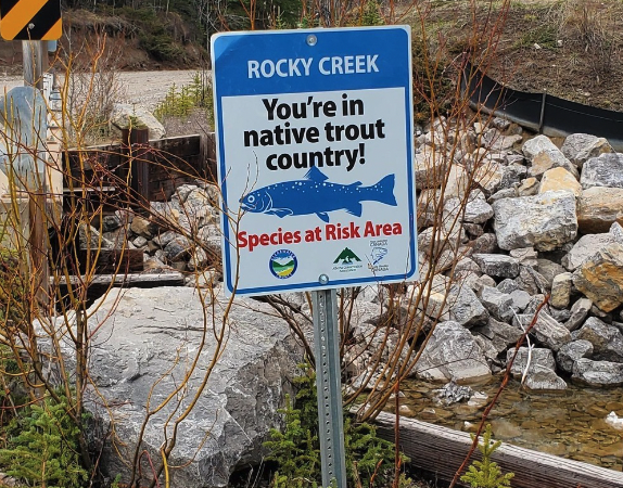 Stream Signage Get Involved