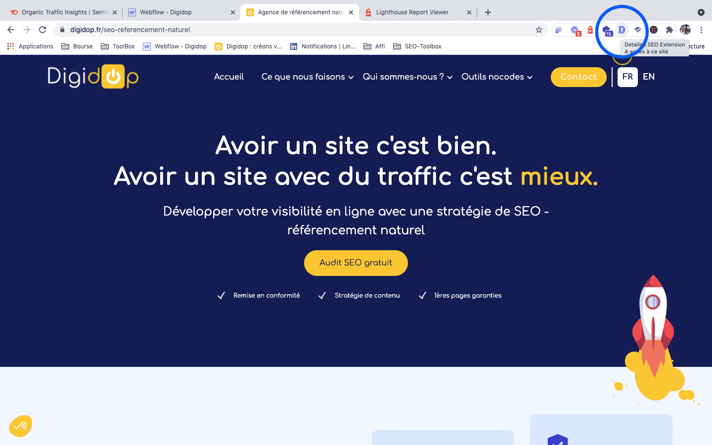 How use Detailed SEO extension on page