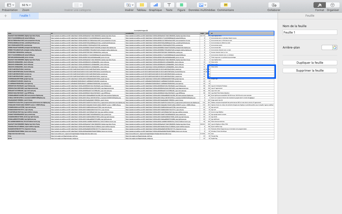 CS files audit on page ALT