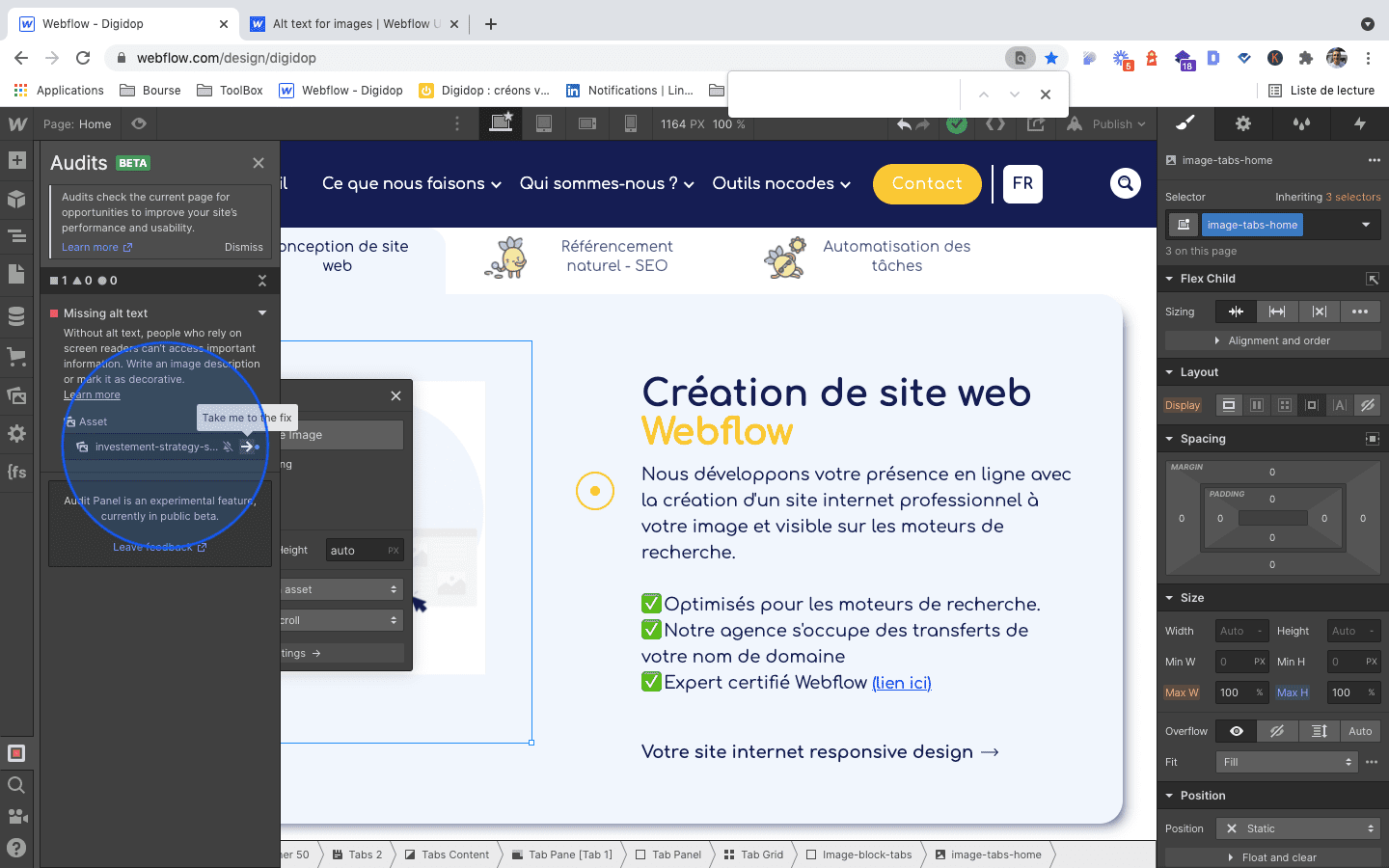 Identification Webflow files audit error