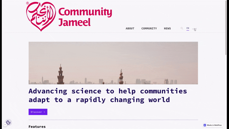 Conversion du site anglais → arabe, en un clic