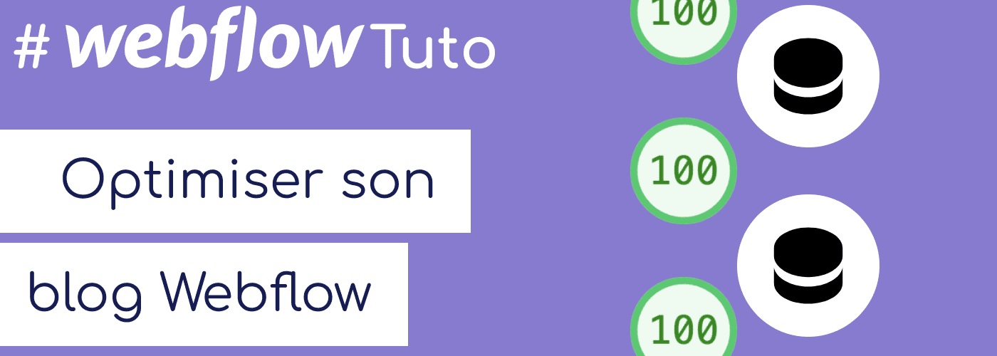 icon Webflow CMS avec un score de 100 Lighthouse