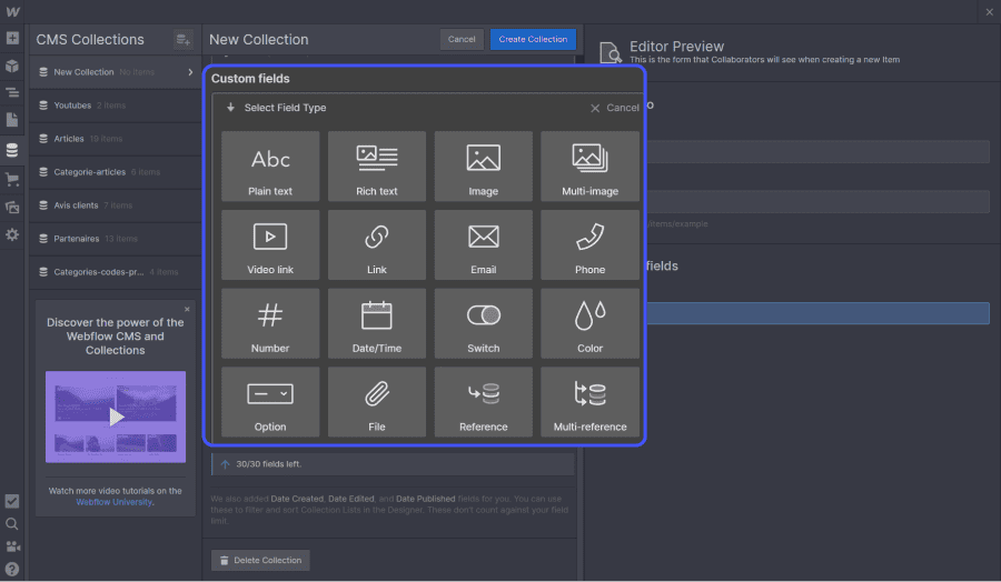 champs personnalisé d'une collection webflow entourés en bleu