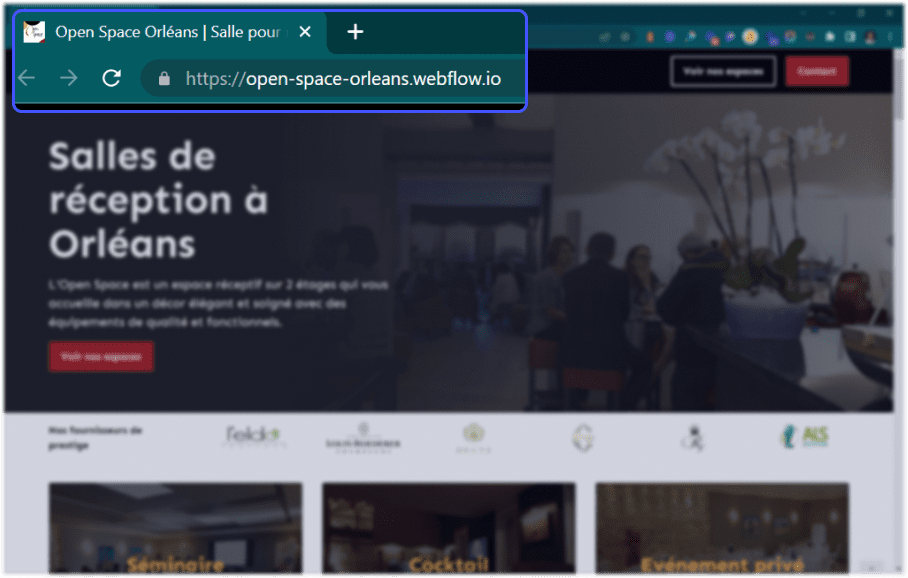zoom sur un url en webflow.io