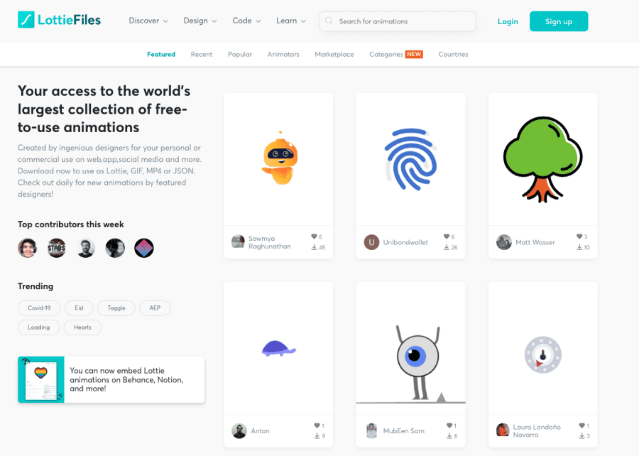 interface plateforme lottifiles