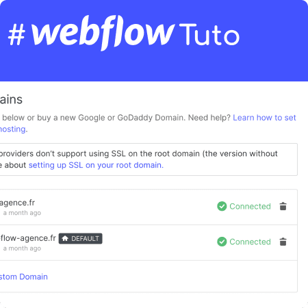 Webflow connection de nom de domaine
