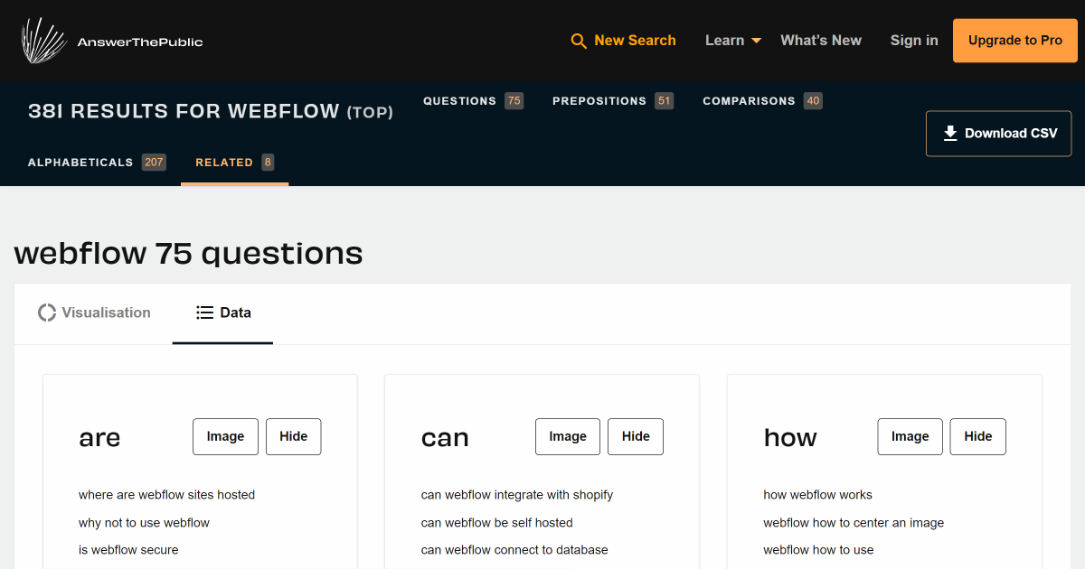 Interface de l'outil SEO Answer The public