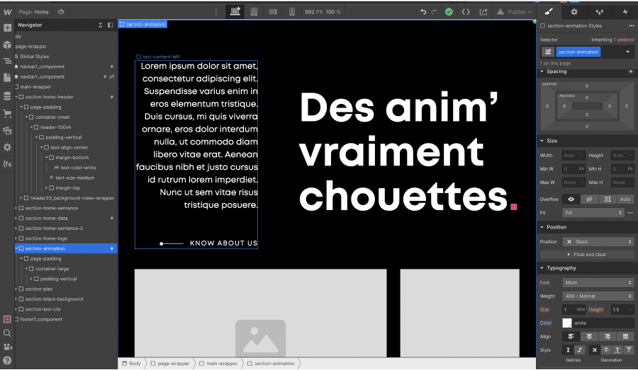Section dans Webflow