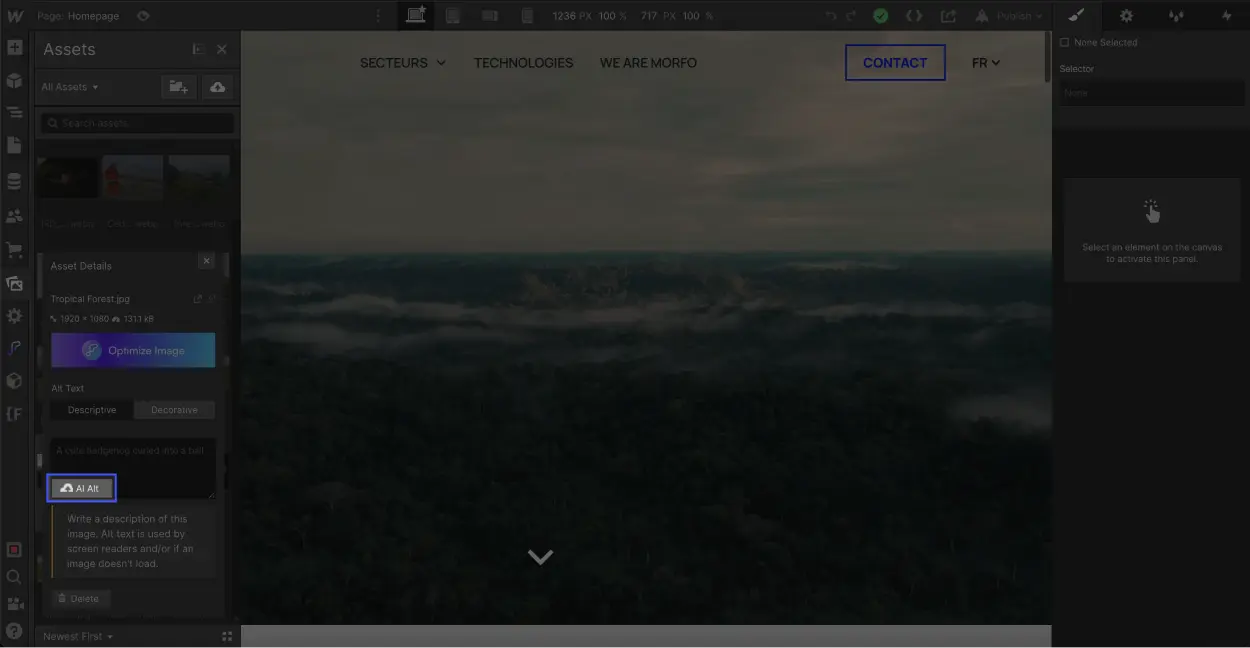 Bouton AI Alt text sur la bibliothèque d'asset Webflow