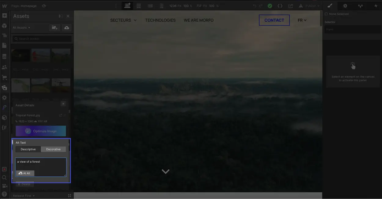 Exemple d'alt text sur une image webflow