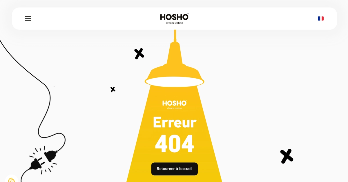 Page 404 du site web Hosho