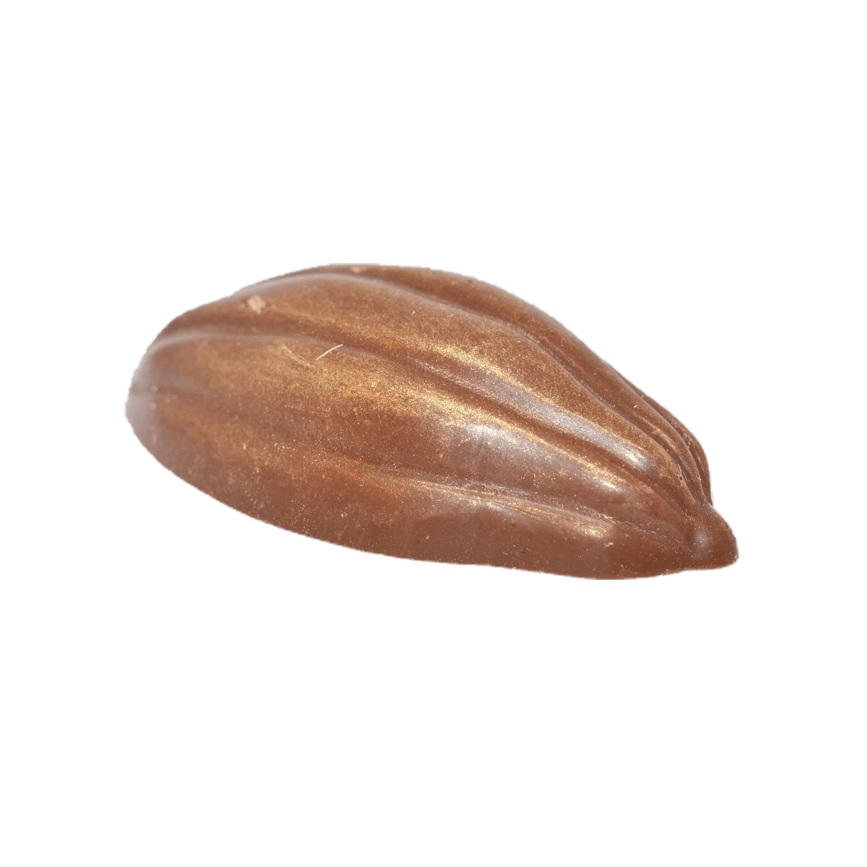 Chocolat Heissi "Wörzig Wili 
