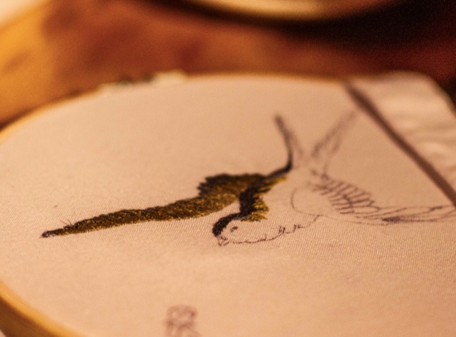 Learn to Embroider