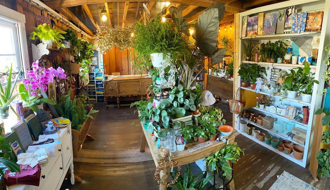 Diving into San Diego's Thrifting Scene The Ultimate Guide to 16