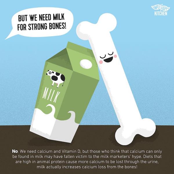 Do we need milk in order to have strong bones? Simple Happy Kitchen