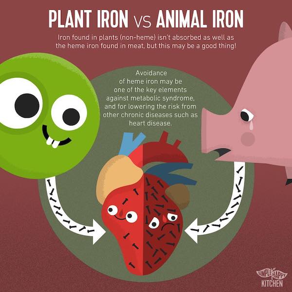 Plant Iron VS Animal Iron Simple Happy Kitchen