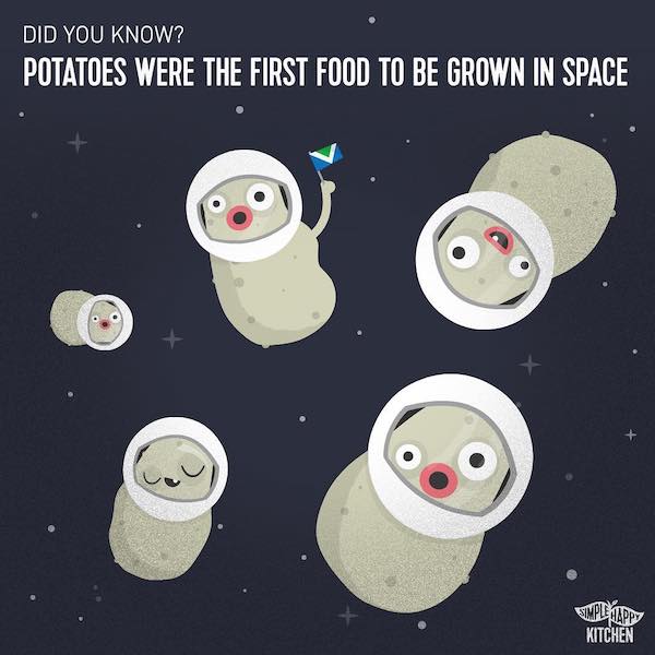 Potato became the first vegetable to be grown in space! Simple Happy