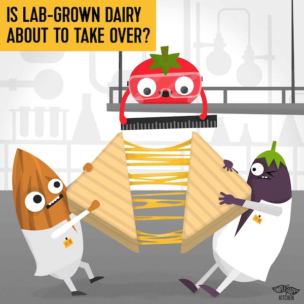 Is labgrown dairy about to take over? Simple Happy Kitchen
